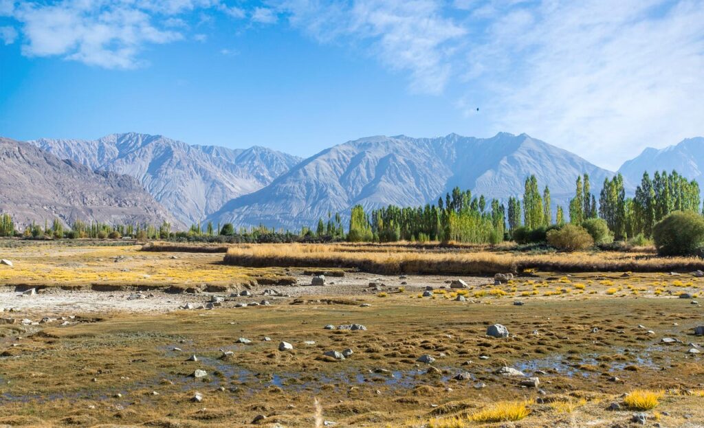 g6419ef2d0ace3ce6587253c2642ade1081768ad484ea20320cfadcb01a0a42d7dc5cbd45f756df3b9b99d38f517319c60591110912d1461aebe6261ecc5a0bf2_1280